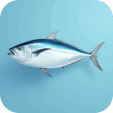Seafood